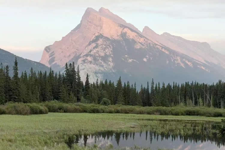 人在中国要怎么办理加拿大单身声明海牙认证用于在内地结婚之用呢？